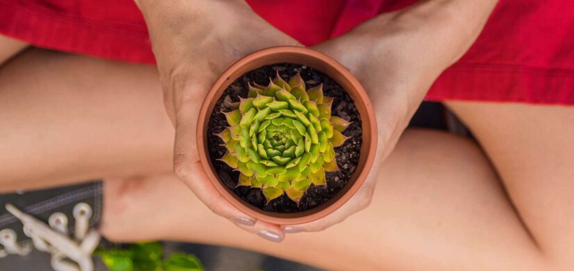 Saksham Ayurveda - Why Choose Ayurveda - A Journey Beyond Symptom Relief